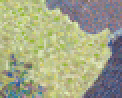detail low